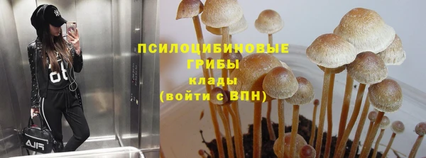 jwh Медногорск