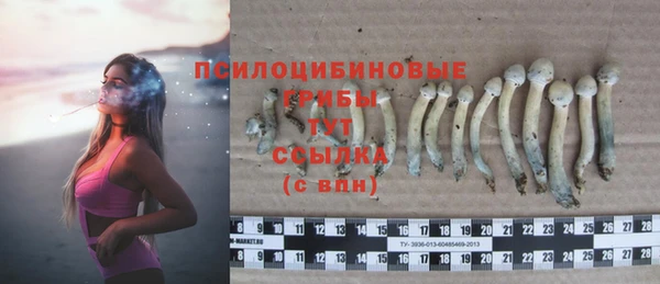 jwh Медногорск