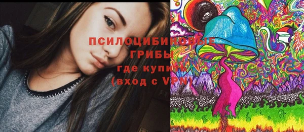 метадон Медвежьегорск