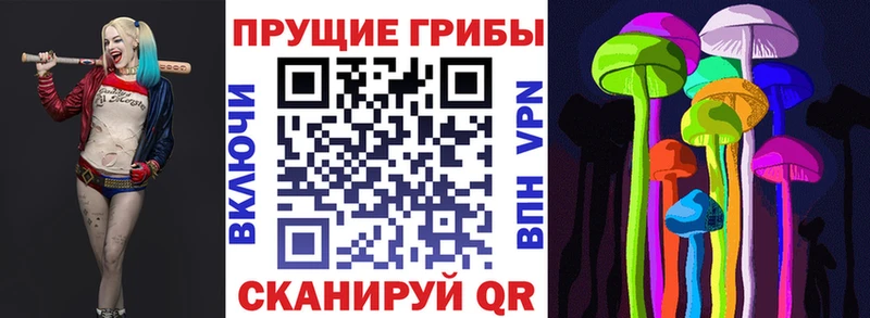 хочу наркоту  площадка формула  Галлюциногенные грибы мицелий  Дудинка 